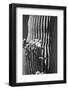 Blooming Saguaro Cactus-Anna Miller-Framed Photographic Print