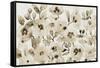 Blooming Umber I-Tim OToole-Framed Stretched Canvas