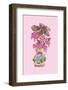 Blooming Vase in Pink-Ania Zwara-Framed Photographic Print