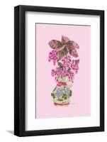 Blooming Vase in Pink-Ania Zwara-Framed Photographic Print