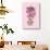 Blooming Vase in Pink-Ania Zwara-Photographic Print displayed on a wall