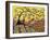 Blooming Village 1-Karla Gerard-Framed Giclee Print