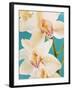 Blooming White Orchids-null-Framed Photographic Print