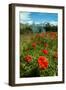 Blooming Wild Flowers in the Torres Del Paine National Park, Patagonia, Chile, South America-Michael Runkel-Framed Photographic Print