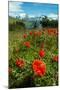 Blooming Wild Flowers in the Torres Del Paine National Park, Patagonia, Chile, South America-Michael Runkel-Mounted Photographic Print