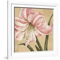 Blooming Wonder II-Judy Shelby-Framed Art Print