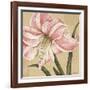 Blooming Wonder II-Judy Shelby-Framed Art Print