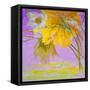 Blooming-Ailian Price-Framed Stretched Canvas