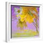 Blooming-Ailian Price-Framed Art Print