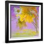 Blooming-Ailian Price-Framed Art Print