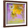 Blooming-Ailian Price-Framed Art Print