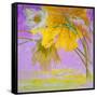 Blooming-Ailian Price-Framed Stretched Canvas