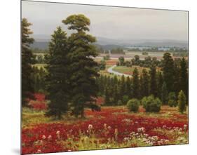 Blooms Above the Valley-Hilger-Mounted Art Print