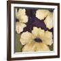 Blooms I-Wani Pasion-Framed Giclee Print