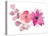 Blooms in Delight-Lanie Loreth-Stretched Canvas