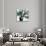 Blooms in Shamrock Grey-Angela Maritz-Stretched Canvas displayed on a wall