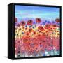 Blooms in Summer-Caroline Duncan-Framed Stretched Canvas