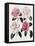 Blooms of Various Flowered Camellia-Mrs Withers-Framed Stretched Canvas