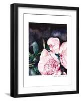 Blooms On Black 1-Claudia Liebenberg-Framed Art Print