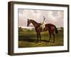 Bloomsbury, a Chestnut Racehorse with Sam Templeman Up, in a Landscape-Alfred de Prades-Framed Giclee Print