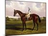 Bloomsbury, a Chestnut Racehorse with Sam Templeman Up, in a Landscape-Alfred de Prades-Mounted Giclee Print