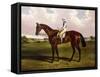 Bloomsbury, a Chestnut Racehorse with Sam Templeman Up, in a Landscape-Alfred de Prades-Framed Stretched Canvas