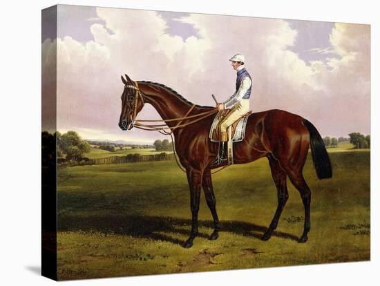 Bloomsbury, a Chestnut Racehorse with Sam Templeman Up, in a Landscape-Alfred de Prades-Stretched Canvas