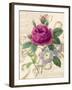 Bloomsbury II-Lily Nicole-Framed Art Print