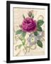 Bloomsbury II-Lily Nicole-Framed Art Print