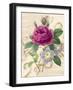 Bloomsbury II-Lily Nicole-Framed Art Print