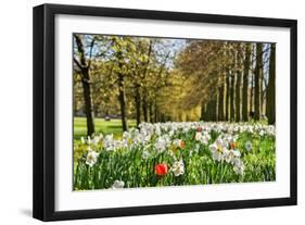 Bloomy Prairie-bdsklo-Framed Photographic Print