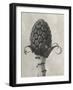 Blossfeldt Botanical IV-Karl Blossfeldt-Framed Photographic Print