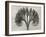 Blossfeldt Botanical VII-Karl Blossfeldt-Framed Photographic Print