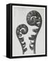 Blossfeldt Fern I-Karl Blossfeldt-Framed Stretched Canvas