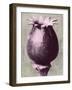 Blossfeldt Redeux I-Vision Studio-Framed Art Print