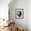 Blossfeldt Redeux I-Vision Studio-Framed Art Print displayed on a wall