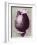 Blossfeldt Redeux I-Vision Studio-Framed Art Print