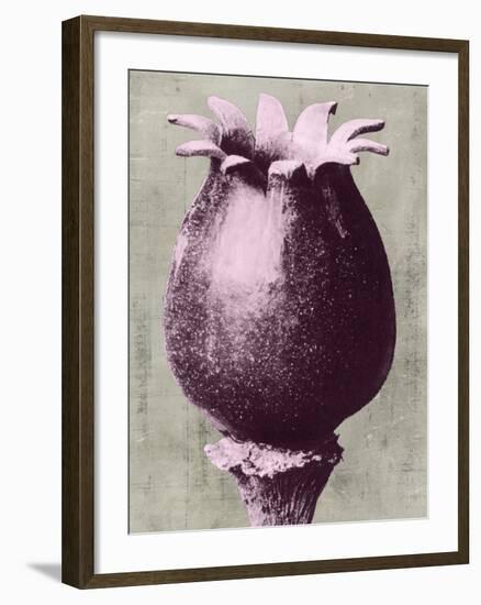 Blossfeldt Redeux I-Vision Studio-Framed Art Print