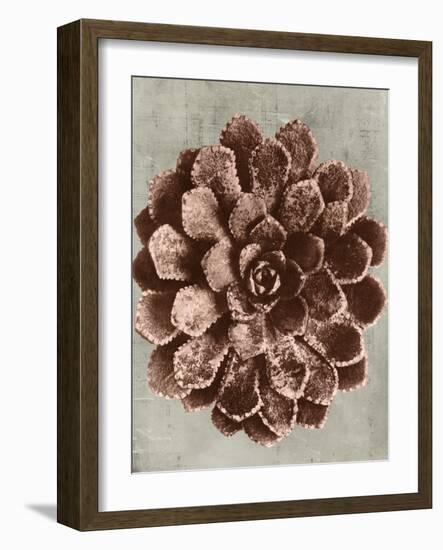 Blossfeldt Redeux II-Vision Studio-Framed Art Print