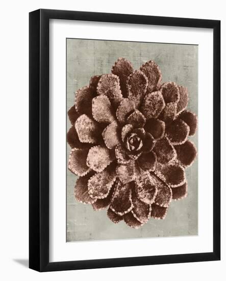 Blossfeldt Redeux II-Vision Studio-Framed Art Print