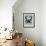 Blossfeldt Redeux IV-Vision Studio-Framed Art Print displayed on a wall