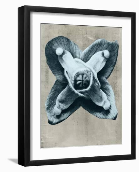 Blossfeldt Redeux IV-Vision Studio-Framed Art Print