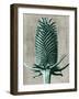 Blossfeldt Redeux V-Vision Studio-Framed Art Print