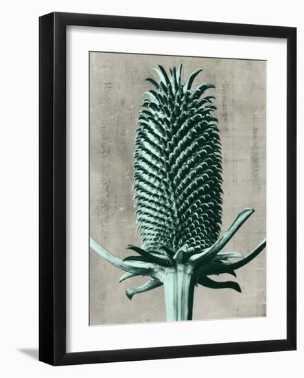 Blossfeldt Redeux V-Vision Studio-Framed Art Print