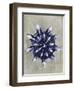 Blossfeldt Redeux VI-Vision Studio-Framed Art Print