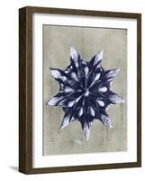 Blossfeldt Redeux VI-Vision Studio-Framed Art Print