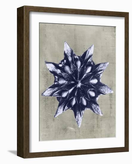 Blossfeldt Redeux VI-Vision Studio-Framed Art Print