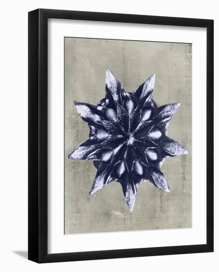 Blossfeldt Redeux VI-Vision Studio-Framed Art Print