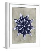 Blossfeldt Redeux VI-Vision Studio-Framed Art Print