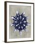 Blossfeldt Redeux VI-Vision Studio-Framed Art Print